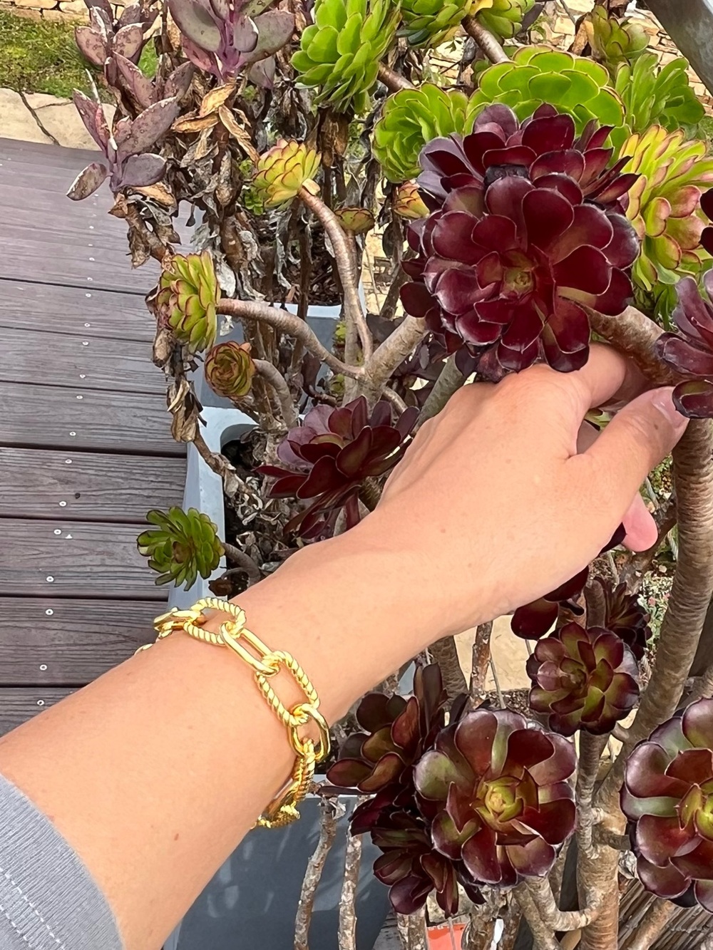 David Yurman Gold-Tone Mixed Link Bracelet